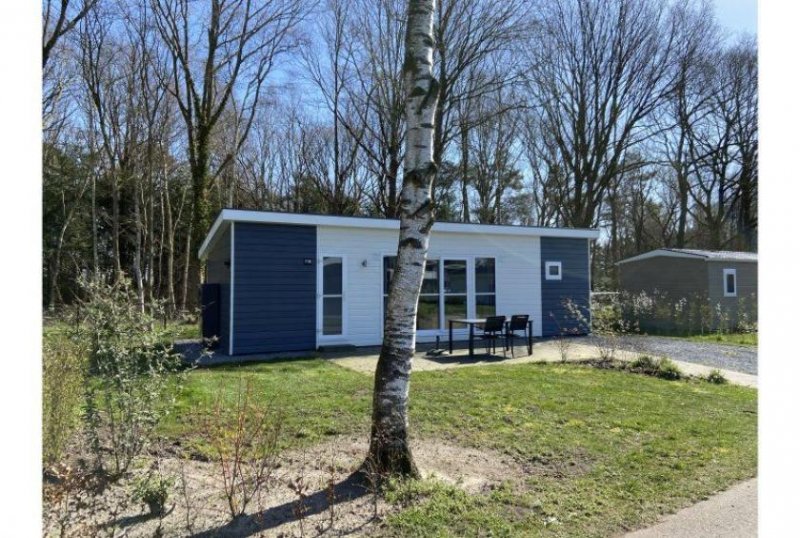 IJhorst Pavillon Mystique Haus kaufen